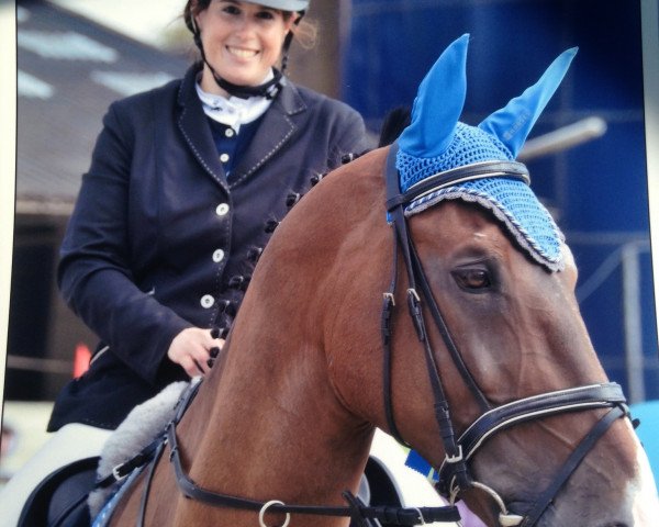 Springpferd Etan van de Muilshoek (Belgisches Warmblut, 2004, von Quival)