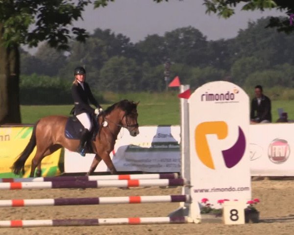 Reitturnier Marl, Reitanlage Rohmann 2020
