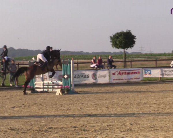 Reitturnier Marl, Reitanlage Rohmann 2020