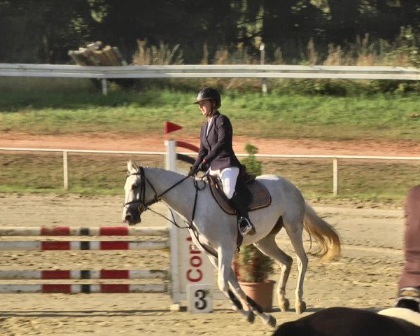 Reitturnier Heiligenwald 2020