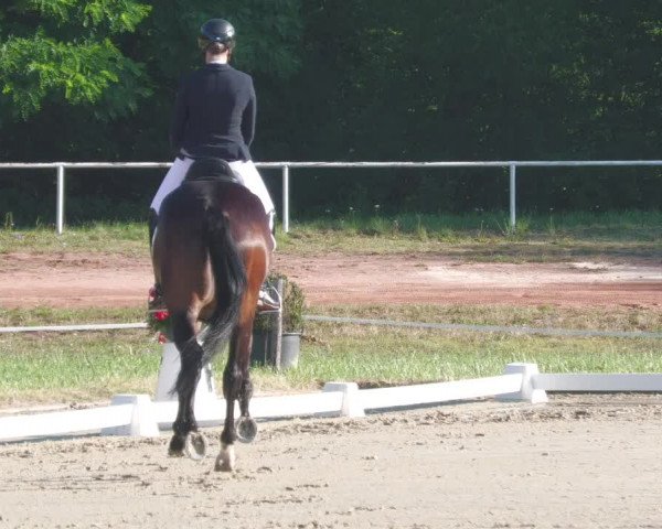 Reitturnier Heiligenwald 2020