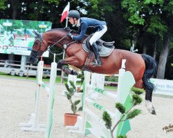 jumper Fresh Malibu (Hanoverian, 2007, from Forrester)