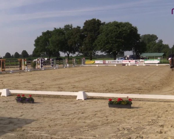 Reitturnier Marl, Reitanlage Rohmann 2020