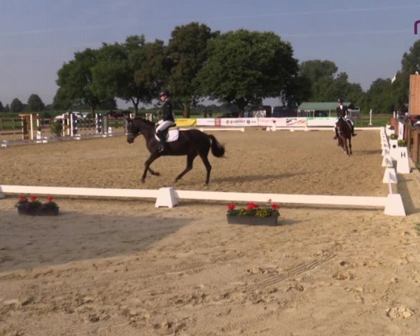 Reitturnier Marl, Reitanlage Rohmann 2020