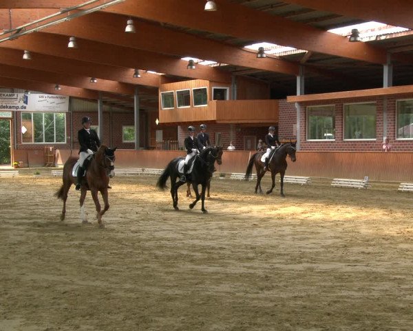 Reitturnier Seppenrade 2020