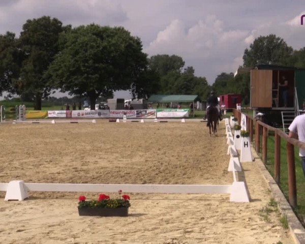 Reitturnier Marl, Reitanlage Rohmann 2020