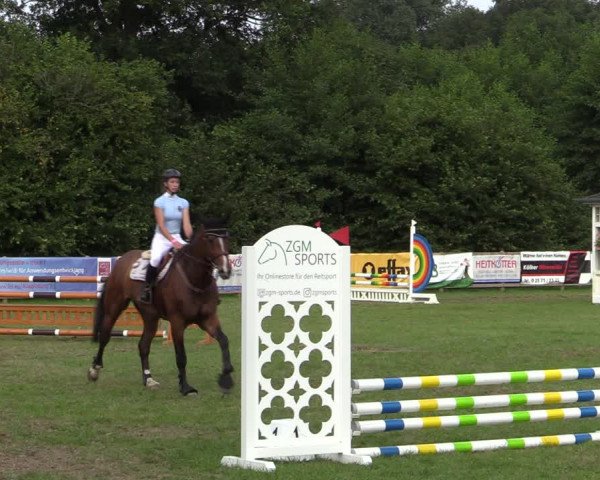 Reitturnier Greven 2020
