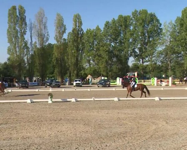 Reitturnier Kleinostheim/Ufr. 2020
