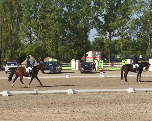 Reitturnier Kleinostheim/Ufr. 2020