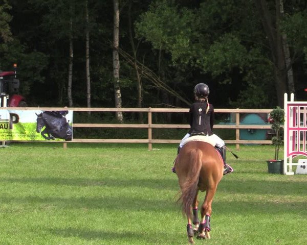 Reitturnier Greven 2020