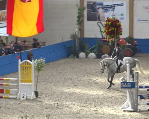 Reitturnier Sögel 2021