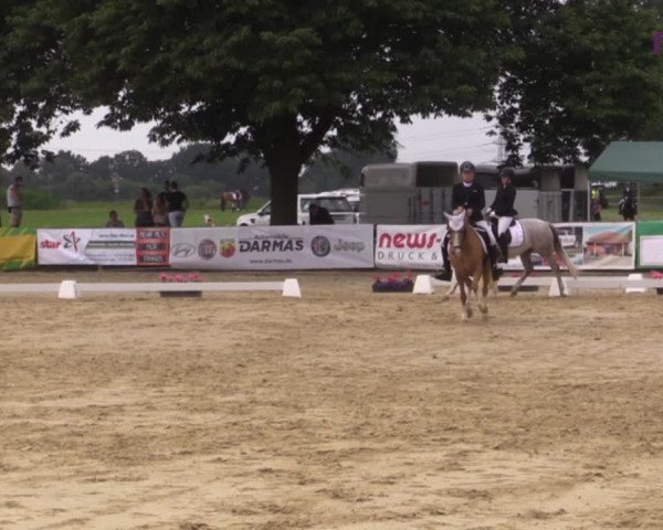 Reitturnier Marl, Reitanlage Rohmann 2020