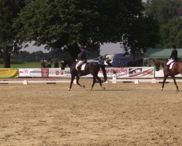 Reitturnier Marl, Reitanlage Rohmann 2020