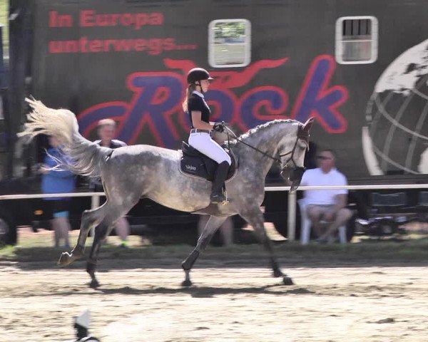 Reitturnier Heiligenwald 2020