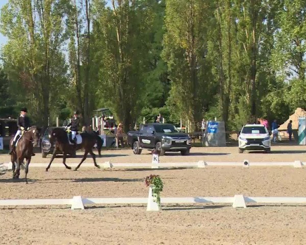 Reitturnier Kleinostheim/Ufr. 2020