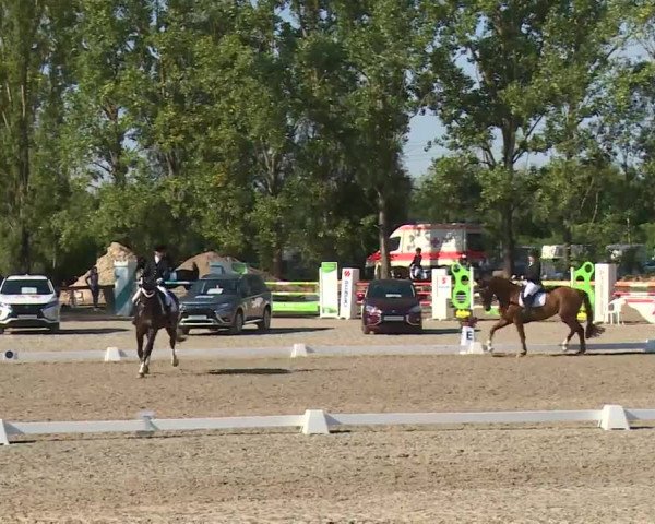 Reitturnier Kleinostheim/Ufr. 2020