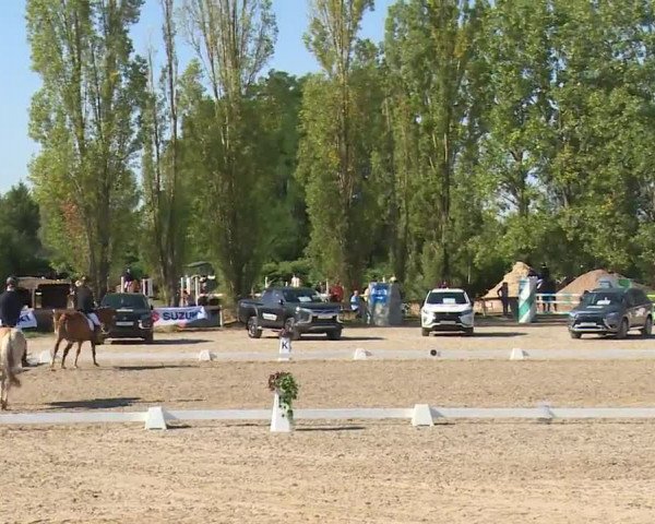 Reitturnier Kleinostheim/Ufr. 2020