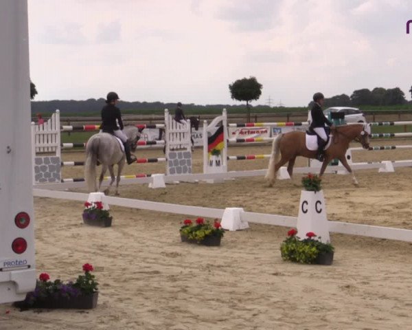 Reitturnier Marl, Reitanlage Rohmann 2020