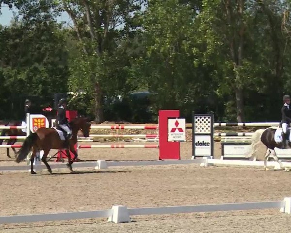 Reitturnier Kleinostheim/Ufr. 2020