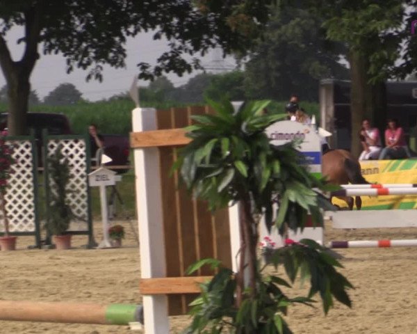 Reitturnier Marl, Reitanlage Rohmann 2020