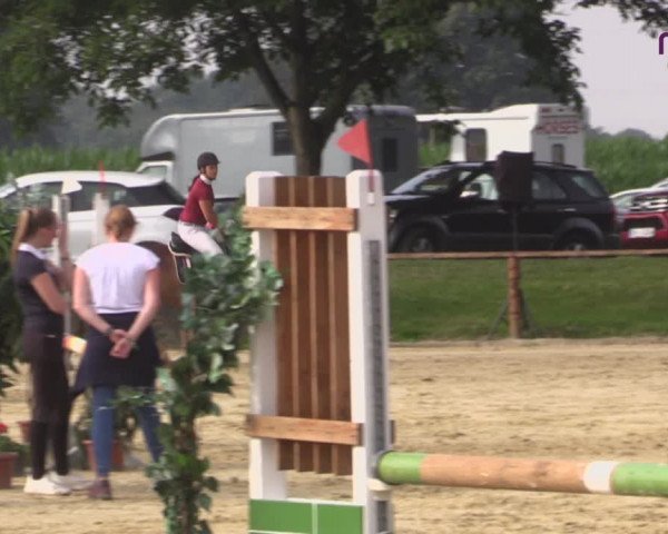 Reitturnier Marl, Reitanlage Rohmann 2020