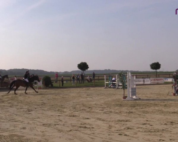 Reitturnier Marl, Reitanlage Rohmann 2020