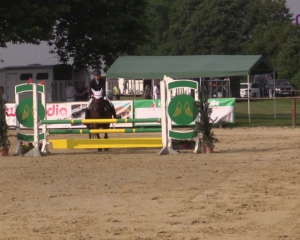 Reitturnier Marl, Reitanlage Rohmann 2020