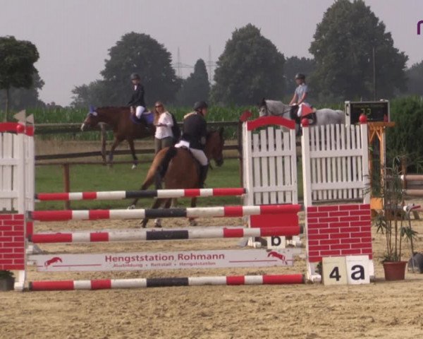 Reitturnier Marl, Reitanlage Rohmann 2020