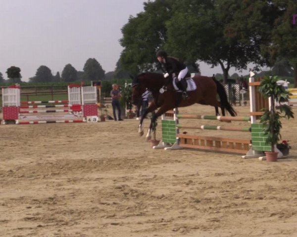 Reitturnier Marl, Reitanlage Rohmann 2020