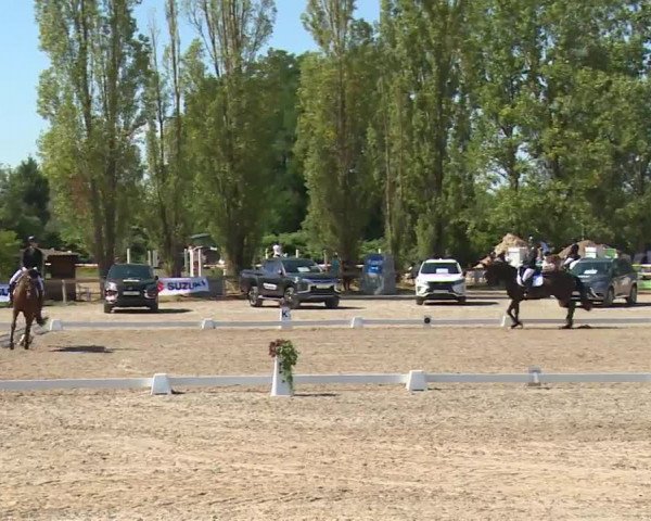 Reitturnier Kleinostheim/Ufr. 2020