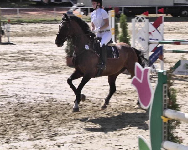 Reitturnier Heiligenwald 2020