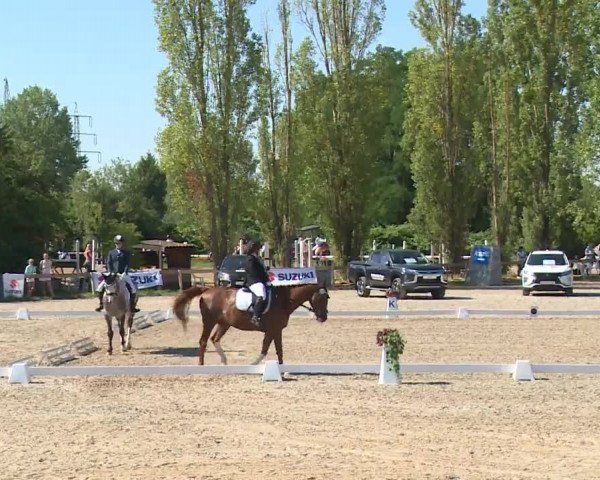 Reitturnier Kleinostheim/Ufr. 2020