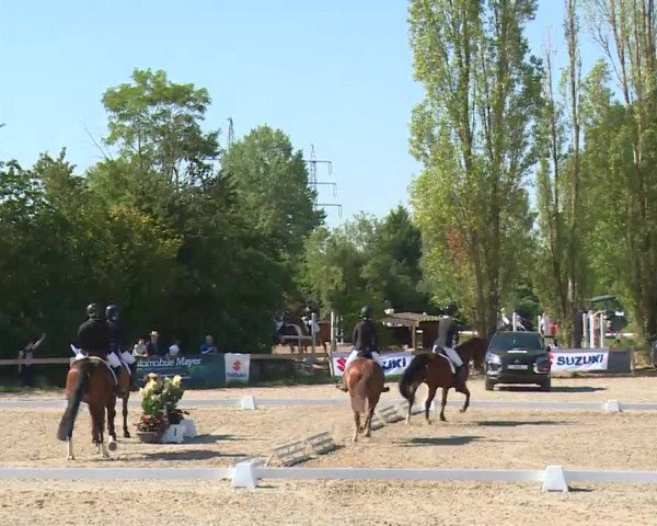 Reitturnier Kleinostheim/Ufr. 2020