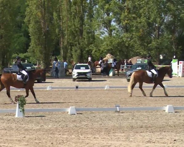 Reitturnier Kleinostheim/Ufr. 2020