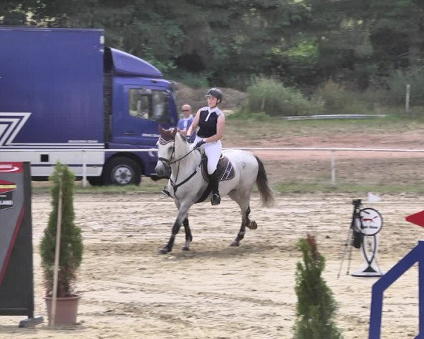 Reitturnier Heiligenwald 2020
