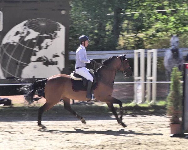 Reitturnier Heiligenwald 2020