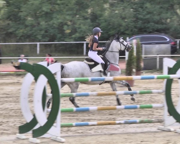 Reitturnier Heiligenwald 2020