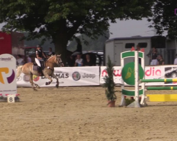 Reitturnier Marl, Reitanlage Rohmann 2020