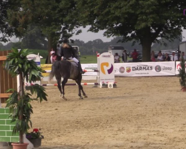 Reitturnier Marl, Reitanlage Rohmann 2020