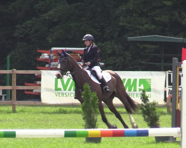 Reitturnier Greven 2020