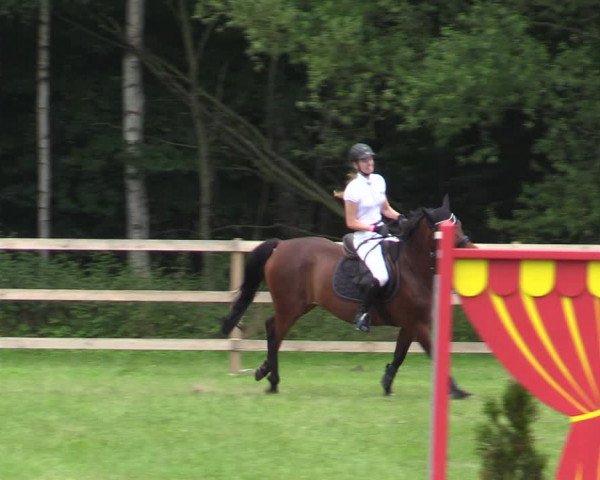 Reitturnier Greven 2020