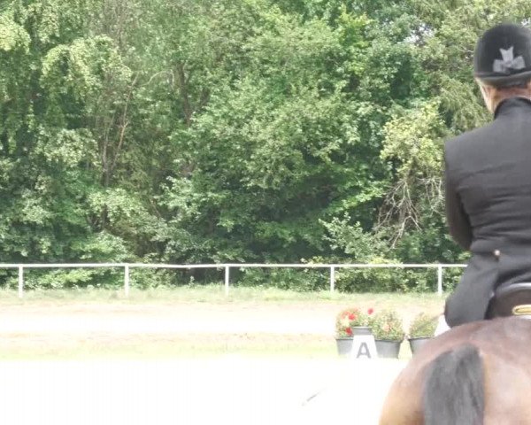Reitturnier Heiligenwald 2020