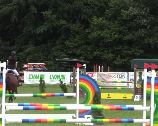 Reitturnier Greven 2020