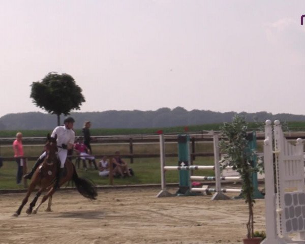 Reitturnier Marl, Reitanlage Rohmann 2020