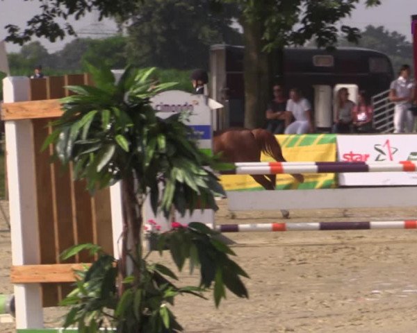 Reitturnier Marl, Reitanlage Rohmann 2020
