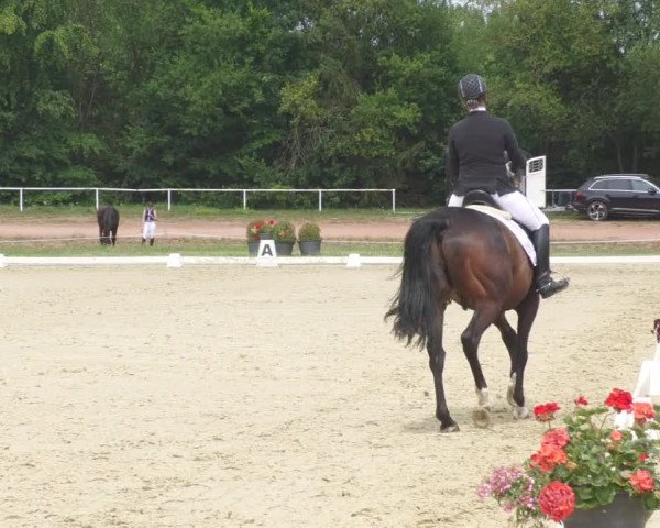 Reitturnier Heiligenwald 2020