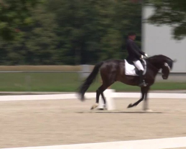 Reitturnier Rot am See- Musdorf 2020