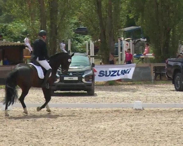 Reitturnier Kleinostheim/Ufr. 2020