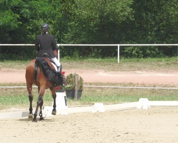 Reitturnier Heiligenwald 2020
