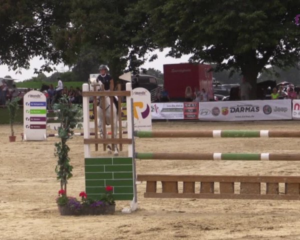 Reitturnier Marl, Reitanlage Rohmann 2020